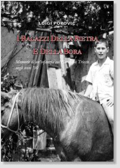 Copertina Libro